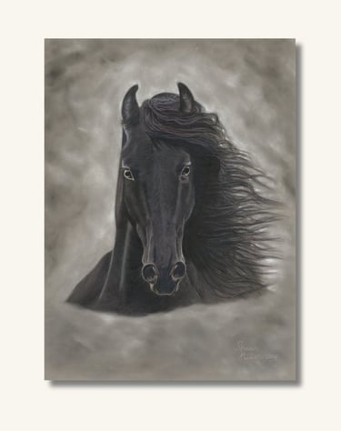 Elegant black horse portrait artwork created in soft pastel by Australian artist Sharan.