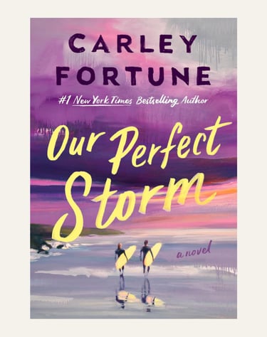 Book Cover Our Perfect Storm