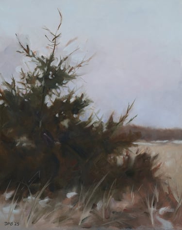 Spruce at Oxner's Beach - Painting by David Shimp