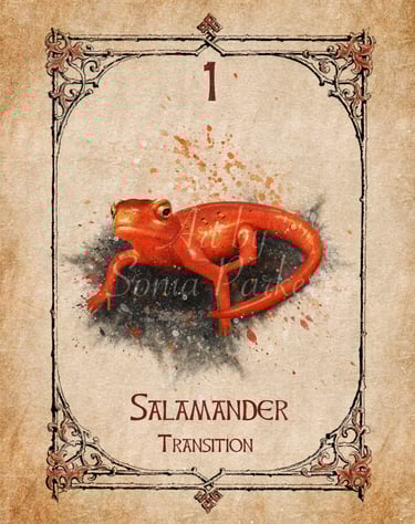 Salamander card from the animal spirit oracle deck