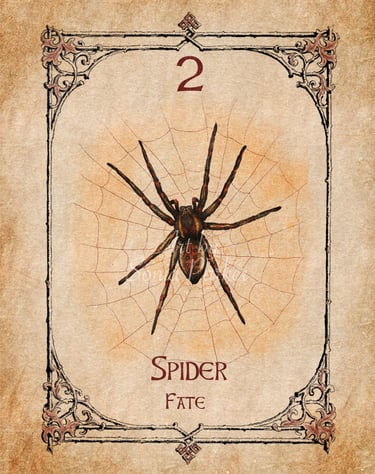 Spider card from the animal spirit oracle deck
