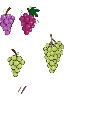 Dessin original de grains de raisins provenant de l'univers de Calnima autrice française indépendant