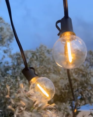 Warm glowing outdoor globe string lights hanging against a twilight sky and white blooming trees.