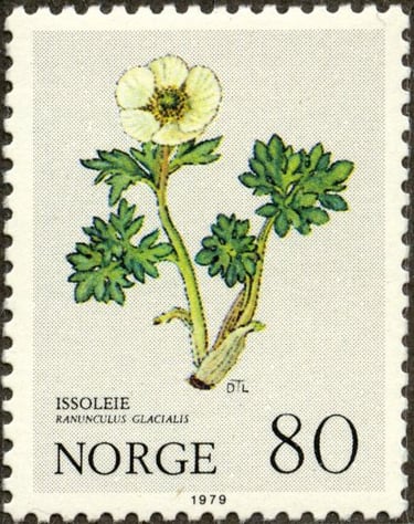 Norwegian postage stamp with a wihte flower-pd