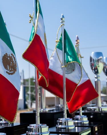 a group of flags with flags on them