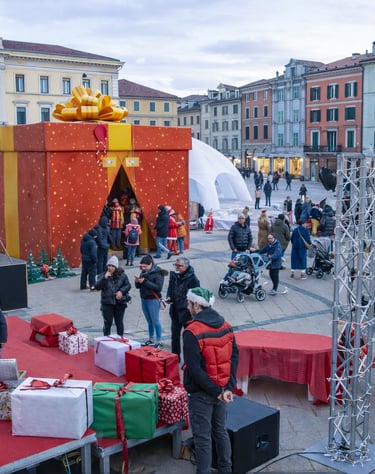 organizzazione eventi pubblici natalizi in piazza