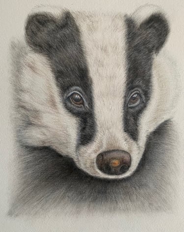 Badger