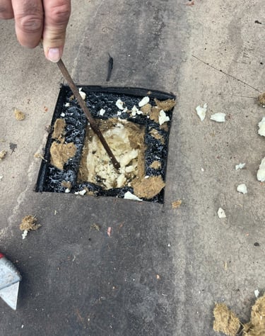 Asbestos Testing
