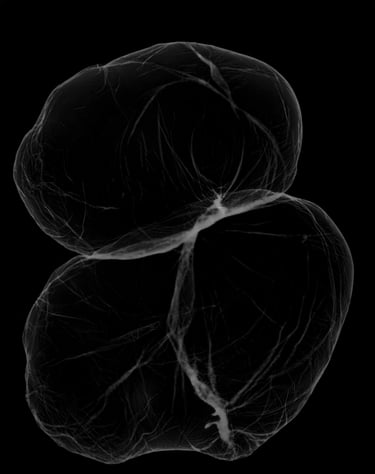 Studies on abstraction