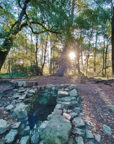 fontaine de barenton dans la forêt de Brocéliande