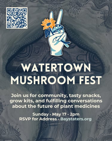 Poster for Watertown Mushroom Fest on May 17 featuring plant medicine talks and community snacks.