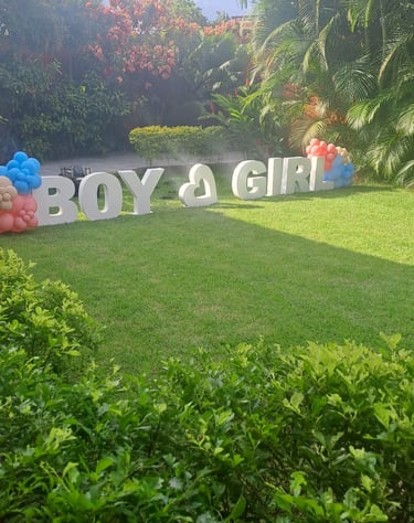 Ideia de decoração para chá revelação