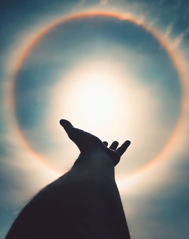 accurate psychic reading by top best expert psychic reader in toronto north york scarborough