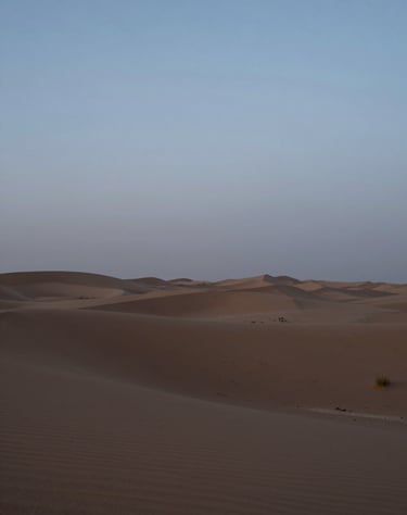 A quiet, wide shot of a desert landscape at blue hour, serene and cinematic, featuring shades of #4A616F and #F2F5F7.
