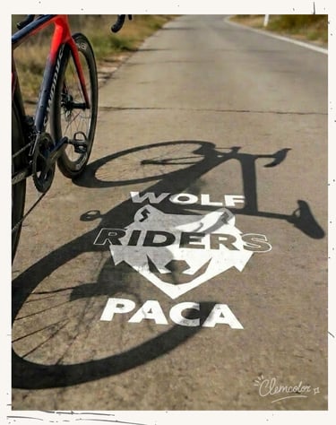 logo wolf riders paca