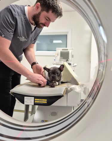 Dr Kyle Eadie The Woodbridge Vets - Reason Marketing Marketing Consultant