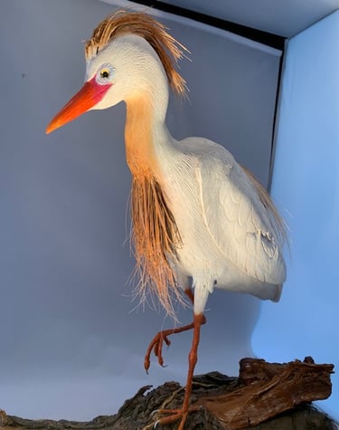 Carved by Louis Livan