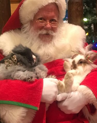 High Sierra Santa is pet-friendly