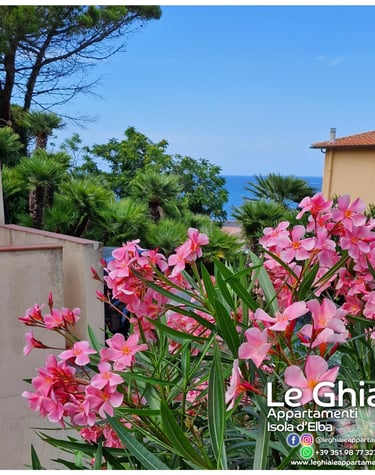view of the garden with flowers in front of the sea