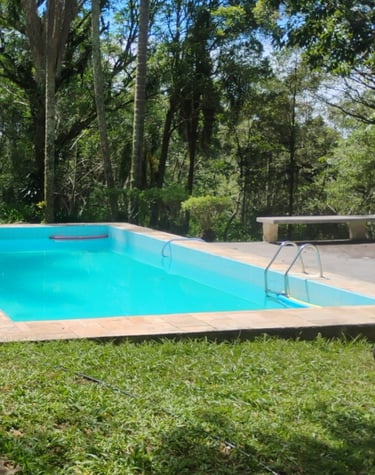 Em dias ensolarados nadar é uma pedida, a piscina convida.