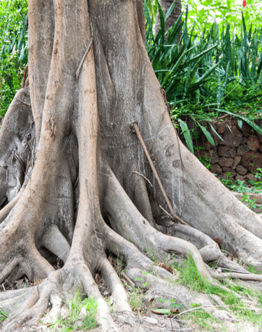 Art and Science of Grounding 