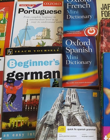 Various Foreign Language books together