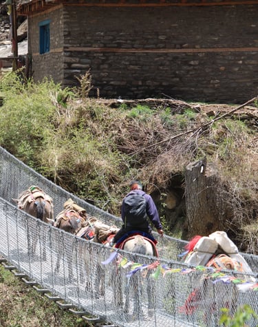 Bridge in Phoksundo trek