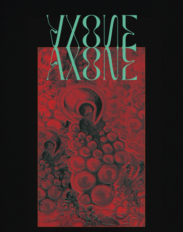 Image graphisme affiche original de l'agence vidéo Ammonite Production