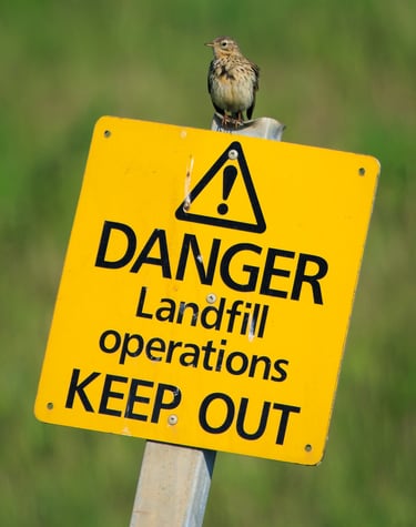 A Meadow Pipit sits on a warning site at a landfill.