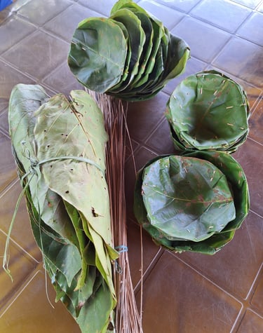 leaves  to make donas