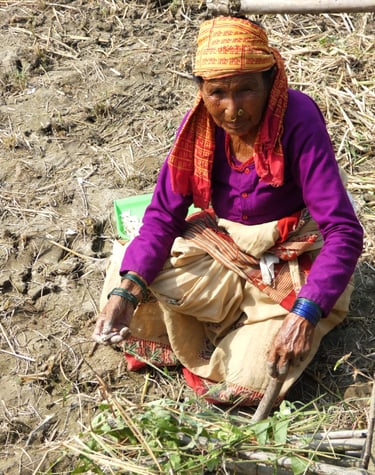 woman planting garlic in Thakurdwara