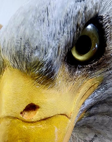 Carved by Louis Livan Close up detail