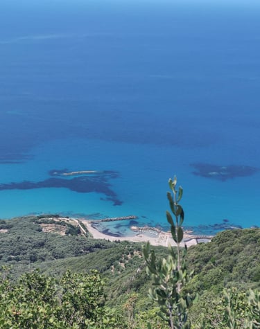 Monastery Elias Corfu Villa Olivia Pentati