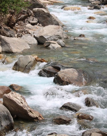 Rivière vers le lac Phoksundo