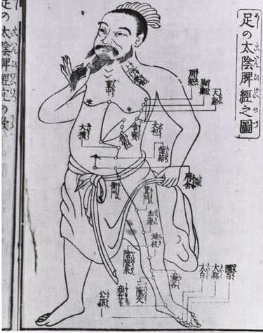 schéma ancien des méridiens d'énergétique chinoise