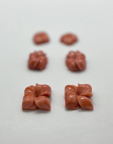 fiori in corallo, incisioni