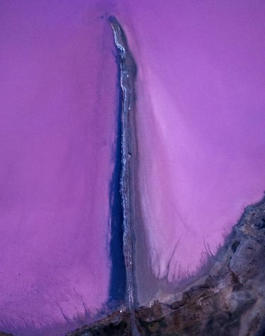 Salar en Península Valdés