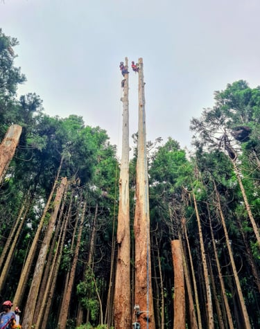 Participation à l'évaluation des jeunes passant la formation à la Réunion