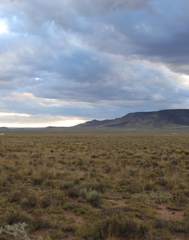a large field with a mountain in the background