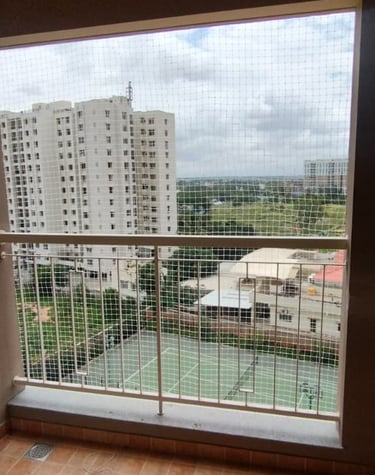 Wide shot showing a building facade fully covered with anti-pigeon nets by Arjilli Enterprises.