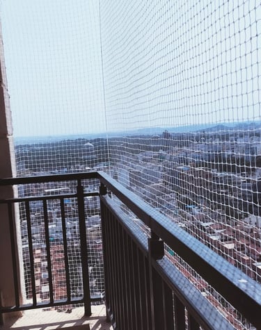 Wide shot showing a building facade fully covered with anti-pigeon nets by Arjilli Enterprises.