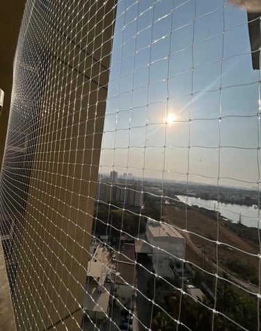 Daytime view of a courtyard fully protected by neatly installed anti-pigeon nets.