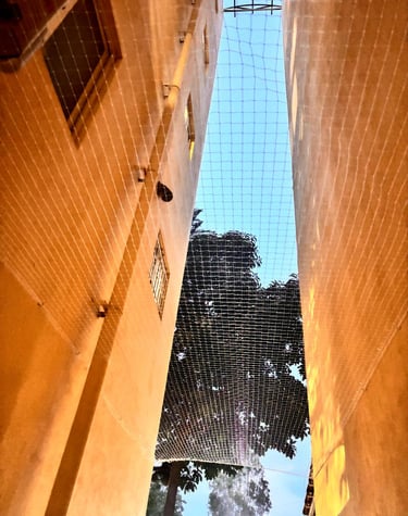 Completed pigeon net installation showing clean and safe apartment ducts.