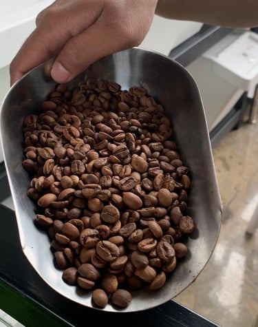 Kopi Solok Radjo, dari Lereng Gunung Talang ke Cangkir Dunia  Sumber: https://www.kompas.com/food/re