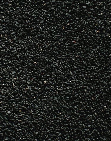 nigella sativa
