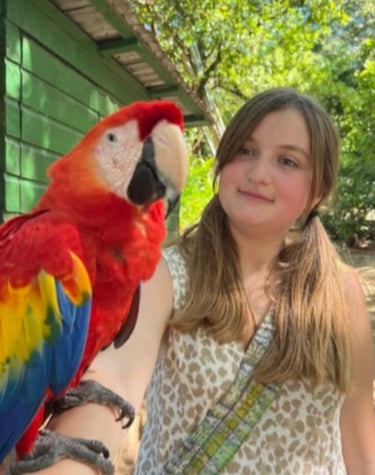 guacamayos en roatan