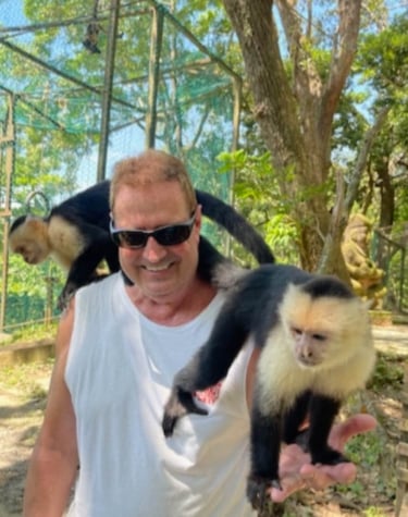 monos cara blanca