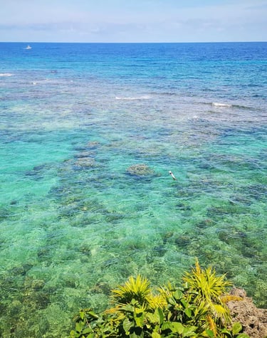 arrecife en Roatan