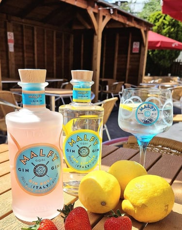 two bottles of gin with lemons and strawberries