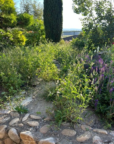 Völlig überwuchert. Der Steinweg ist mit Unkraut zugewachsen und nicht zu erkennen